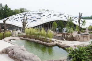 1401882410-zurich-zoos-elephant-family-moves-to-a-new-spectacular-home_4923190.jpg
